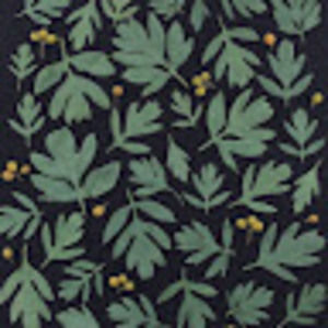 Meet your Posher, Ava